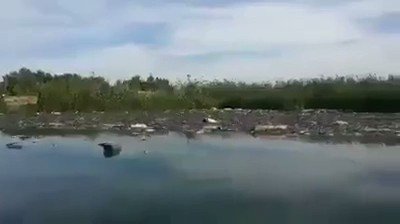 Here is a video that shows the scale of this disaster.   Thousands of fish die mysteriously in Babylon province, Iraq