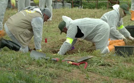 Exhumers suspect hundreds of Yezidis suspected are in a mass grave in Shingal