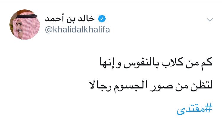 In reply to Muqtada Al Sadr statement calling for a reconciliation between Saudi_Arabia and Iran and the stepping down of the rulers of Bahrain, Syria and Yemen, Bahraini FM describes the Iraqi religious leader as a dog disguised as a man   