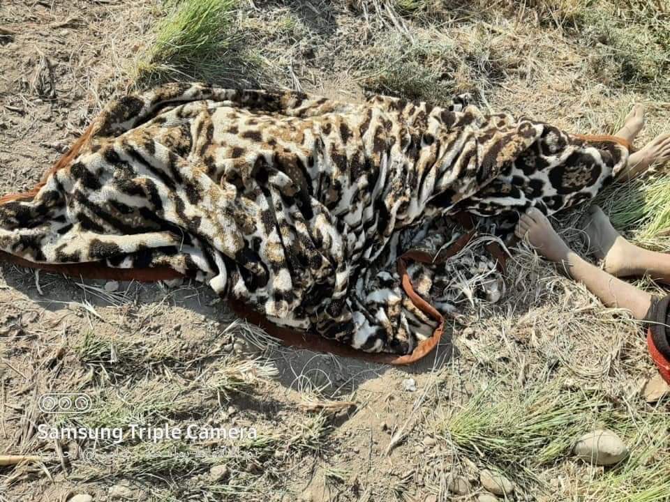 The Iraqi Center for Documentation of War Crimes: 12 civilians, including 4 children, were killed in Salah al-Din Governorate, by the Asa'ib militia. 