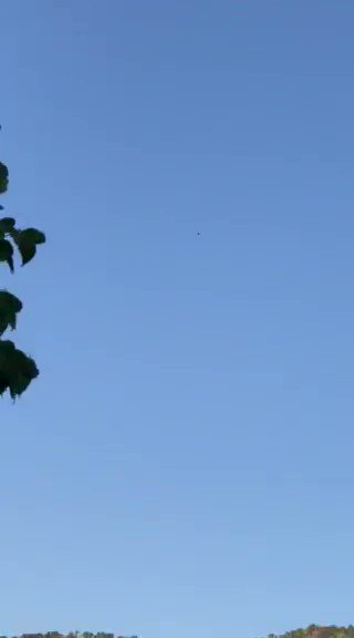 Video of Iranian suicide drone from this morning near Wlash village, Choman. This is from part of an ongoing offensive by Iran in the region. Could be an Ababil