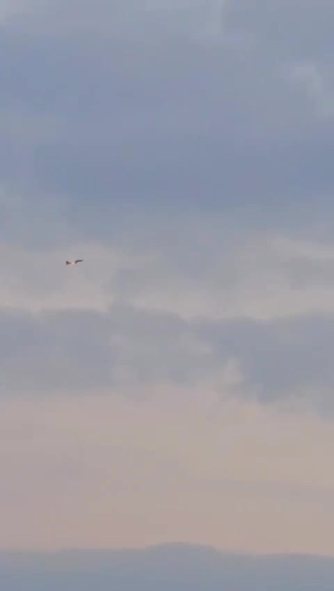 Esta mañana, se activaron las alarmas en el área de la ciudad de Ashkelon debido a la intrusión de un avión hostil lanzado desde Irak, el sistema Cúpula de Hierro y aviones de combate de la Fuerza Aérea interceptaron con éxito la aeronave.