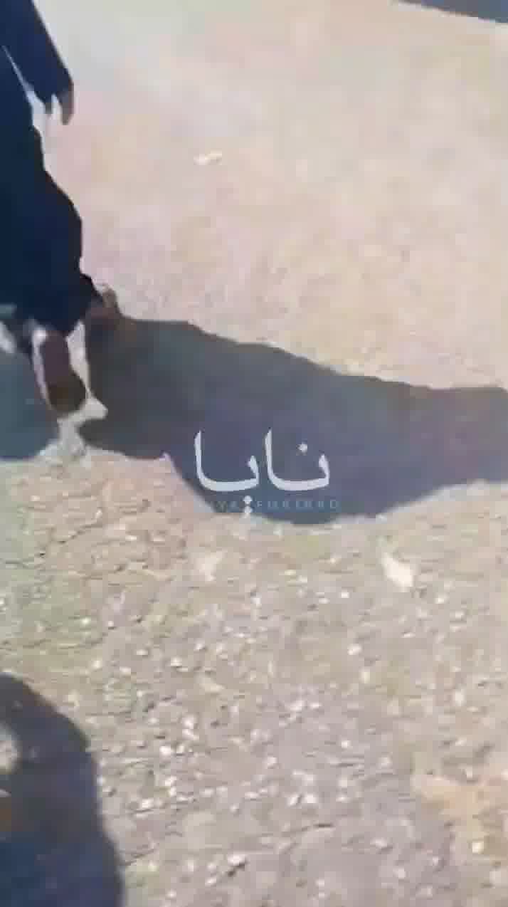 Gunfire was directed at protesters demonstrating against the deteriorating electricity situation in Qal'at Saleh district, within Maysan Governorate, southern Iraq.